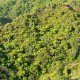 83- Changement de vegetation vers le Grand Canyon 